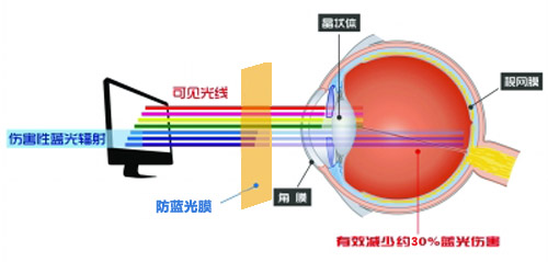 大菠萝导航最新科技成果 大菠萝视频下载成护眼利器